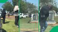 "The deceased is probably laughing": Bee swarm attacks mourners during funeral service, SA amused