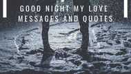 Best good night my love messages, wishes and quotes