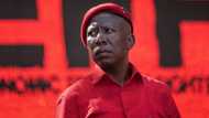 "Won't help the poor": EFF rejects R11 bn World Bank loan, SA says it's useless