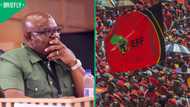 EFF calls for immediate arrest of KZN Hawks Head General Senona after Madlanga Commission testimony