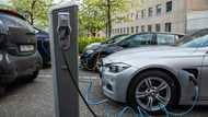 One in five cars on Norway's roads are electric