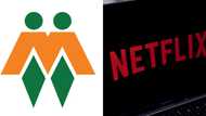 AfriForum furious with Netflix, accuses platform of "blatant discrimination"