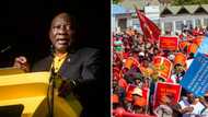 EFF wants ConCourt to throw out President Cyril Ramaphosa's bid to review Phala Phala report