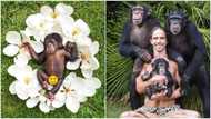 Kody Antle does birth photoshoot for newborn monkey, causes online frenzy