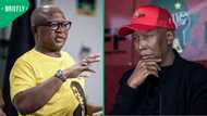 Julius Malema says Fikile Mbalula is the only obstacle to EFF joining GNU, South Africans debate