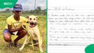 "A beautiful story": KZN boy sends handwritten letter to SPCA and Funda Nenja after saving his dog