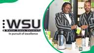 Walter Sisulu University courses in 2025: requirements, application