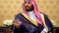 Critics fear Saudi prince seeks legal cover with PM title