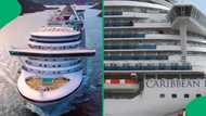 "People don't wash their hands": 115 cruise ship passengers fall ill from norovirus, SA stunned