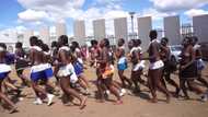 Here is all about the annual South African Reed Dance ceremony