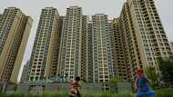 China developer Evergrande files for bankruptcy protection