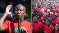 EFF Leader Julius Malema Calls Out Financial Oppression in South Africa