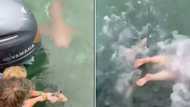 Video of mother and child falling into shark-infested water goes viral on Twitter