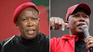 “Sies”: EFF leader Julius Malema slams “influencer” who used his name to scam people