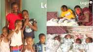 Mother with 6 children gives birth to quadruplets, dad begs for help