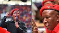 EFF’s Julius Malema loses bid to have gun discharged case dismissed, decision sparks debate