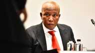 Malema attacks journalist during Chief Justice interviews: 'I'm not talking to you'