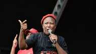 Julius Malema says EFF has nothing to hide after failing to disclose funders