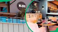 Koi Menlyn Maine menu: discover dishes and current prices