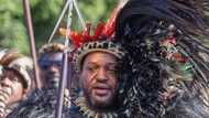 Kind Misuzulu urges men to end GBV at annual reed dance, Say Zulu kingdom treats "women like eggs"