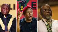 EFF leader Julius Malema fires shots at ANC top dogs, from Cyril Ramaphosa to Gwede Mantashe