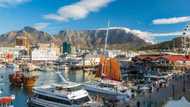 Cape Town named Best City in Africa and Johannesburg closely follows at 3rd spot, SA in disbelief