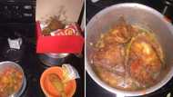 Laughing out loud: Social Media reacts to bizarre Hungry Lion chicken stew creation