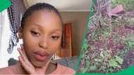 “It’s the thought that counts”: Woman DIYs tombstone for late mother in TikTok video moves South Africa