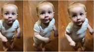 Toddler warms hearts with response he gave to mum during questioning