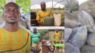 Francis Kantavooro: Genius man turns plastic waste into fuels to power cars and for household use