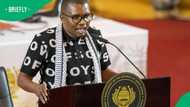 "Sellout": ANCYL president condemns 'black-only bloc' push as unity government talks heat up