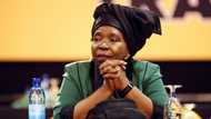 Partnership with United Nations in the works, reveals Dlamini Zuma