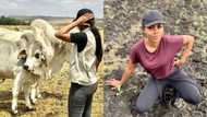 Stunning lady, 27, inspires Mzansi with her cattle farming journey