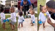 "Sweetest video ever": Dad brings home flowers for his little twin daughters, their reaction is priceless