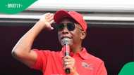 Julius Malema calls for the DA to leave the GNU, South Africans say he wants a piece of the pie