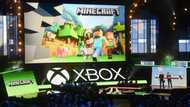 Students, activists, entertainers: Minecraft's global appeal