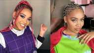 Sho Madjozi thanks fans for supporting Xitsonga mixtape: "I took such a risk"