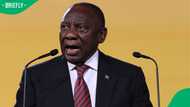 President Cyril Ramaphosa considers action against groups seeking US intervention in South Africa