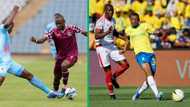 Moroka Swallows fails to show up for Mamelodi Sundowns match, cancels upcoming match with Golden Arrows