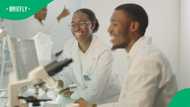 UCT scientists make cancer breakthrough by uncovering how tumours hide from immune system