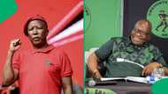 Julius Malema criticises Jacob Zuma, says uMkhonto weSizwe Party leader is too old to unite people