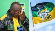 Phala Phala report: ANC NEC calls a special meeting to discuss damning findings against Ramaphosa