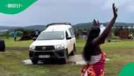 Family goes wild over arrival of lobola cows in TikTok video