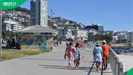 “Why only now?”: New Sea Point Promenade rules in Cape Town spark mixed feelings in TikTok video