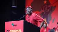 EFF calls on public to comment on quietly-published land reform bill