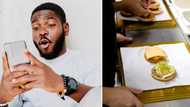 McFrog and fries, said no one ever: Investigation launched over from in McDonald’s burger in Mpumalanga