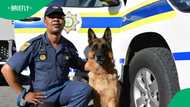 Free State SAPS wants more dogs for the K9 unit, Mzansi makes jokes