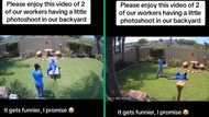 TikTok video captures workers' hilarious photoshoot in neatly tended backyard, SA entertained