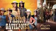 Hidden Passion on Telemundo: cast, plot summary, full story, teasers, trailer