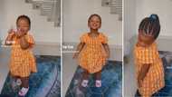 Cute baby girl does trending Bhebha dance challenge in viral video, Mzansi stans: “Groovist in the making”